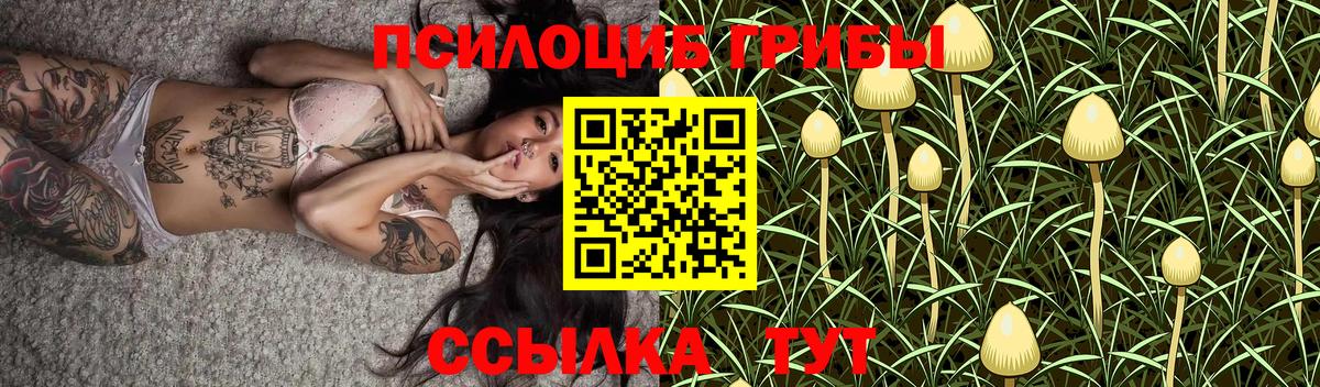 Назарово  Псилоцибиновые грибы ЛСД  Вход с VPN 